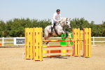 SBM_001950