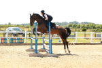 SBM_006577