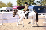 Class 403 - Grassroots Ridden - Junior portfolio
