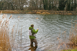 Fishing in Norfolk (Fishing Hobbs Lake ,Nar Valley Fisheries) portfolio