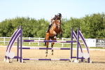 SBM_002972