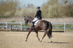 SJ3_1462