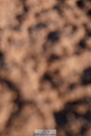 240505A-183206-07609