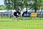 SBM_11387