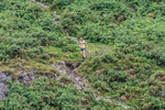 Arnison Horseshoe-20
