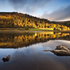 Lower Lake Light
