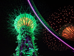 Supertree & Skyway illuminated from below, Gardens by the Bay
