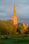 Salisbury Cathedral