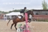 BPP_4101