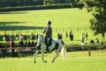 SBM_36435