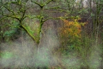 Emerging-Colour