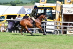 SBM_08019