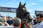 Race 5 15.50pm Reg Bond 'Always And Forever' Handicap portfolio