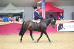 SBM_23583