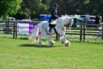 SBM_09309