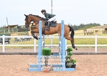 BPP_8278