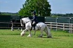 SBM_09334