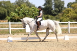 SBM_010555