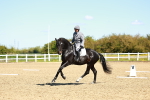 SBM_000209