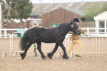 SBM_08427