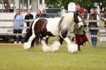 SBM_06024
