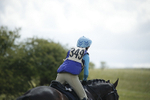 BVHT 140517  IXC -577