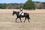 WJ6_8826