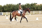 SBM_003437
