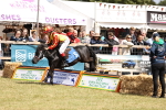 SBM_16509