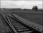 Auschwitz-Birkinau