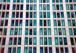 theme 11 week 2: PATTERNS/REPETITION