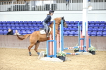 SBM_009521