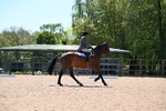 WJ6_0967