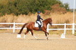 SBM_017617