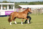SBM_10491