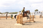 SBM_07375