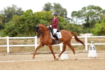 SBM_007654