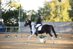 SBM_14580