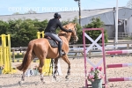 BPP_5517