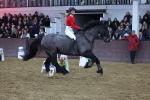SBM_004275