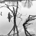20160117-3K8A2749-3943