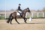 SBM_003327