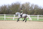 SBM_007550