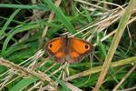 Gatekeeper