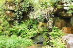 Fairy Glen