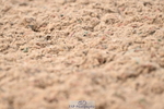 240621A-164040-06059