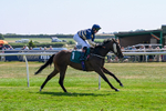 150726-Race 3-Lady Dublin-3215