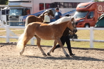 SBM_12882