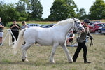 WJ6_6609
