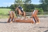 BPP_3757